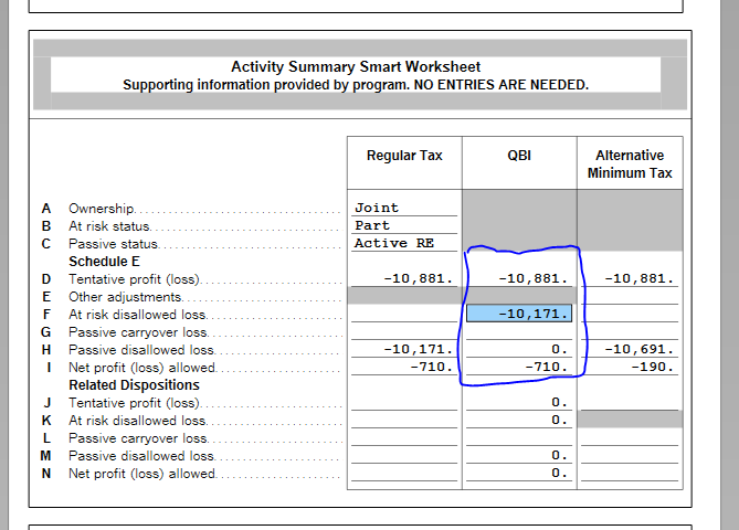 Schedule E QBI Activity Summary Smart Worksheet.PNG