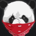 panda mask.jfif