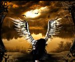 Fallen_Angel_by_VixRayne.jpg