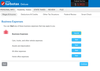 business_expenses.png