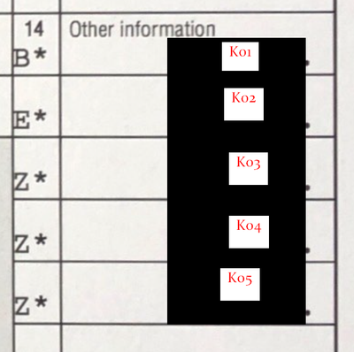 K1_Screenshot from 2021-04-12 04-39-35.png