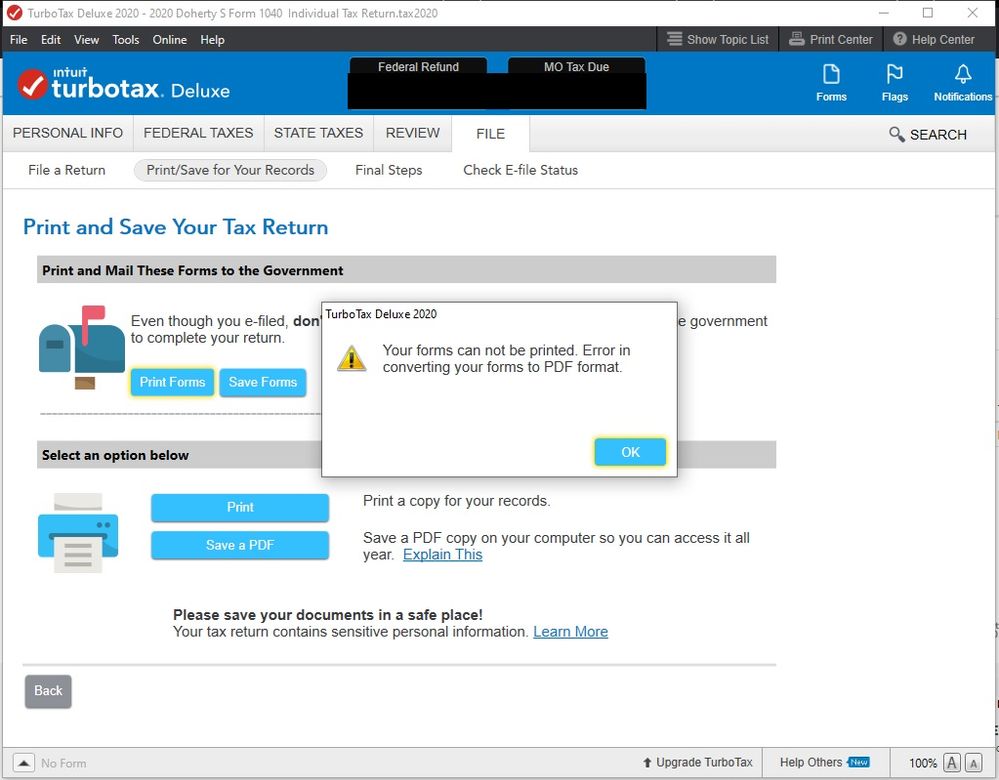 TurboTax Deluxe 2020 - Print Error.jpg
