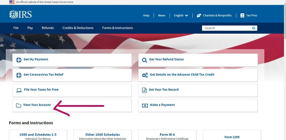 IRS view account.jpg