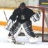 Tax_Goalie