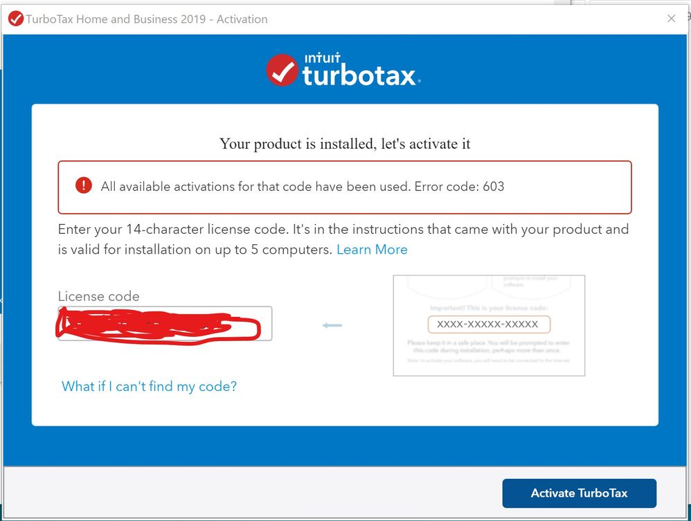 TurboTax2019-Bug.jpg