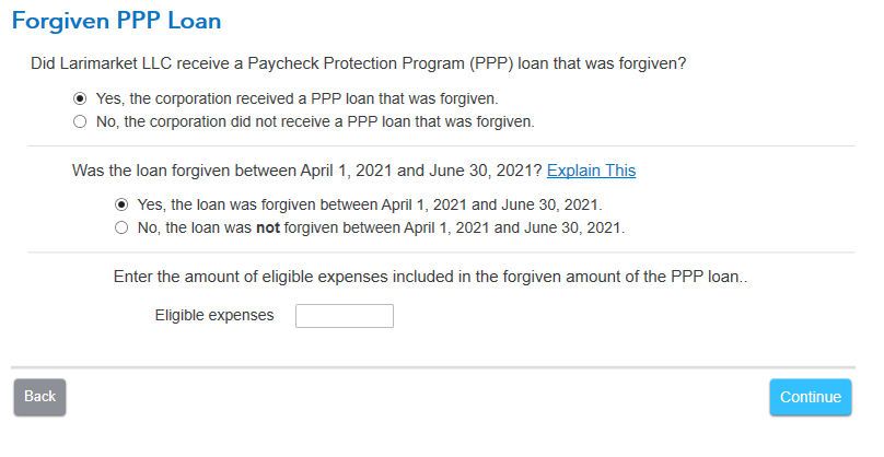 TurboTax-PPP.jpg