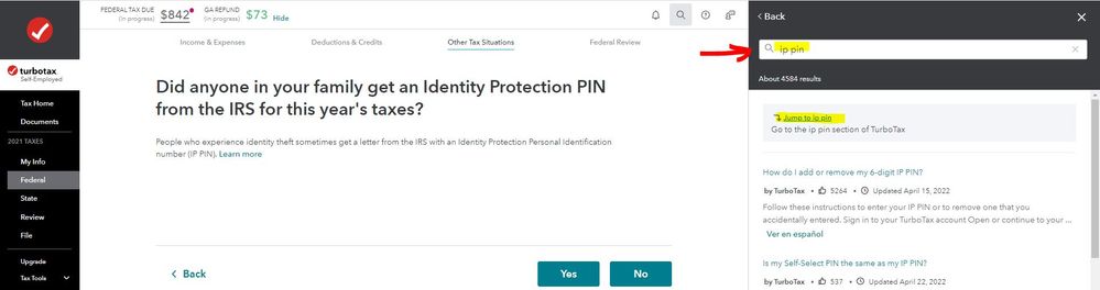IP PIN Search.JPG