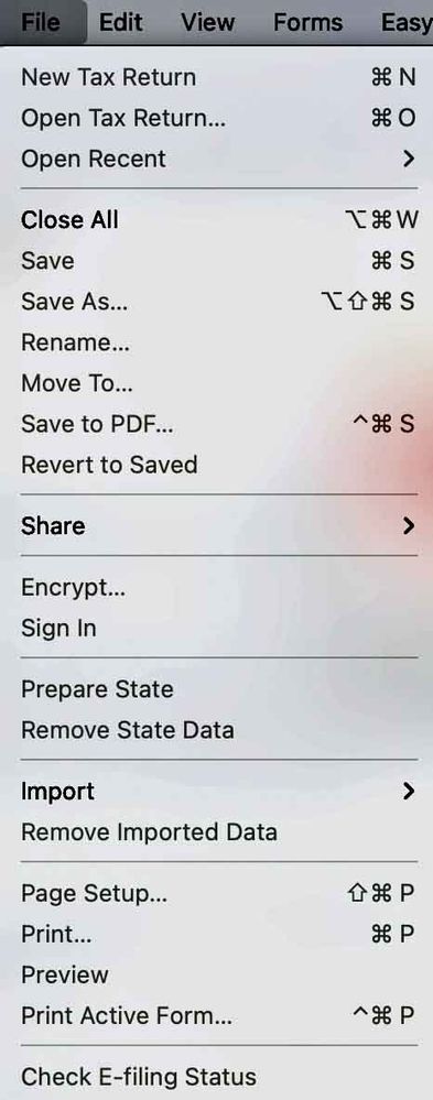 TurboTax2021-FileMenu.SCREEN.jpg