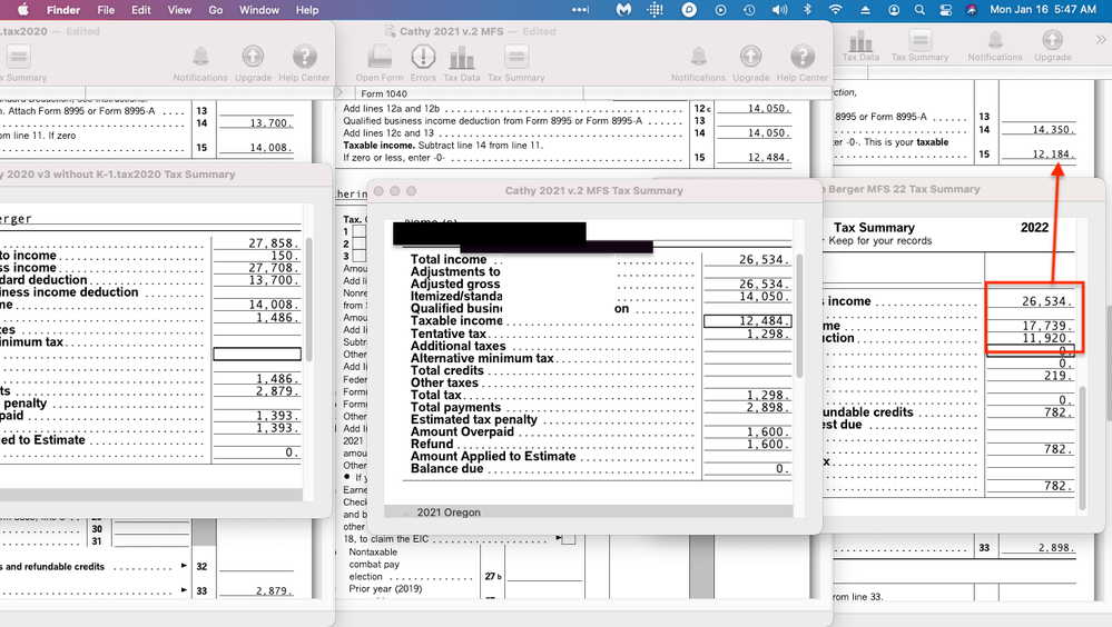 Tax Summary Issue.png
