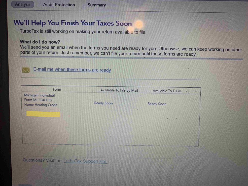TurboTax Screen Print