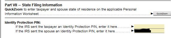 IP_PIN.JPG