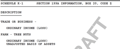 K-1 Section 199A Box 20 Code Z.png