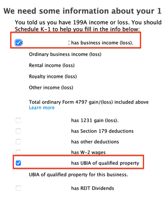 K-1 199A entry.png