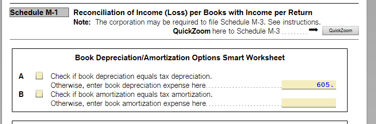 06-Schedule M Depreciation CheckBox