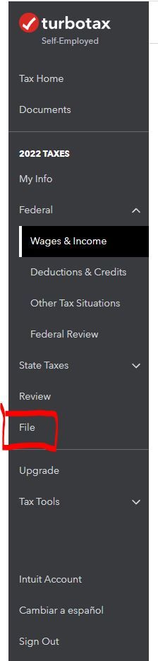 TurboTax Online File left side.JPG