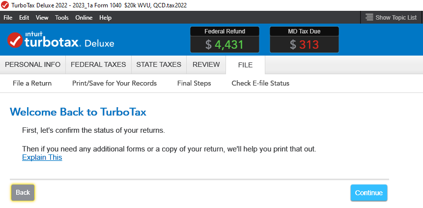 TurboTax prompt - Accidentally efiled second federal (1a).png