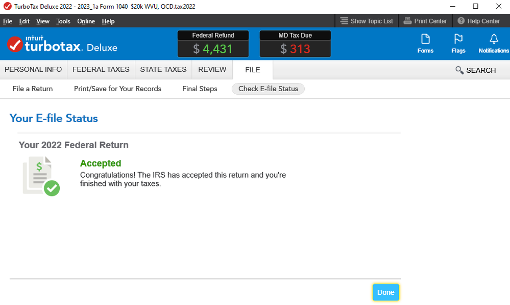TurboTax - Accidentally efiled second federal (1a).png