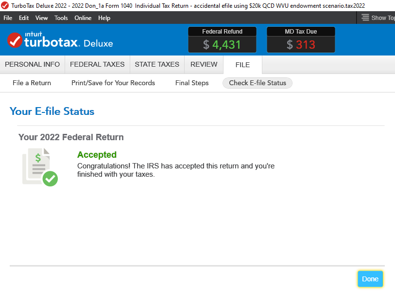 TurboTax check efile status - Accidentally efiled second federal (1a).png