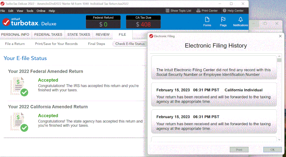 e-filing screen image.gif e-filing screen image.gif