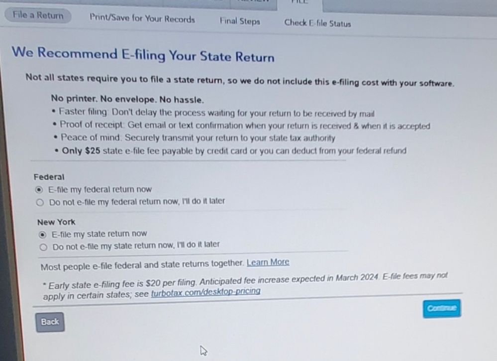 TurboTax Premier message at e-filing option