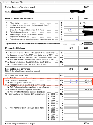 Fed Caryover Wk Sht Line 13a has correct 18,113.png