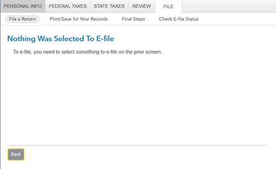 TurboTax 2024 state filing results.JPG