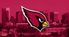Redbird24
