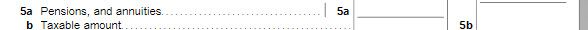 1040 Form Entry for Foreign income.jpg