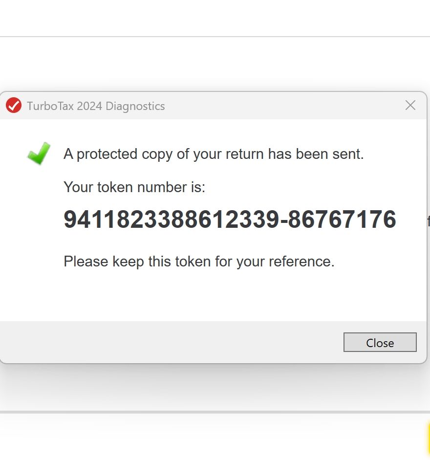 TurbotaxDiagnosticsToken-20250310b.jpg