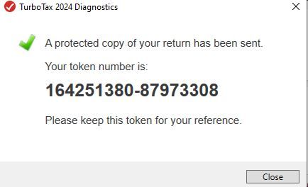 turbotax support token.JPG
