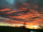 IMG_0729.jpeg
