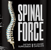 spinal-force.PNG