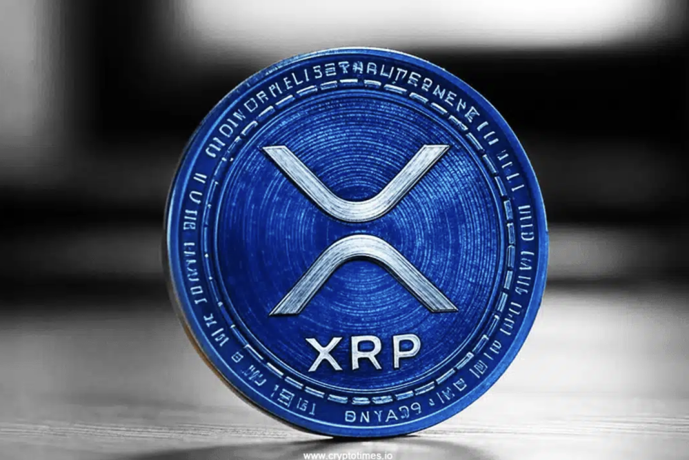 xrp2.png