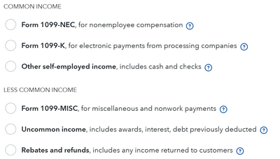 TurboTax options.png