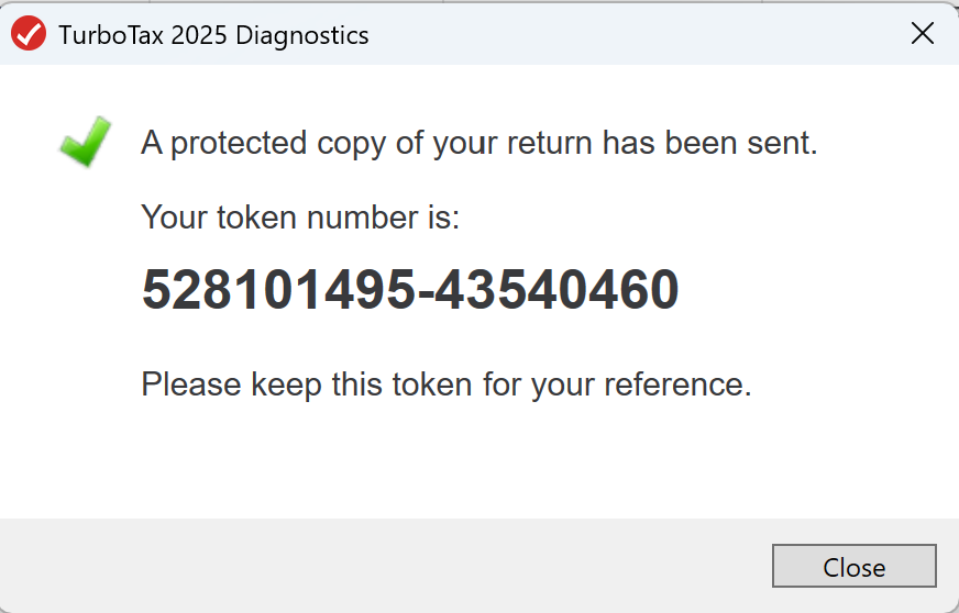 TurboTax Business Return Token.png