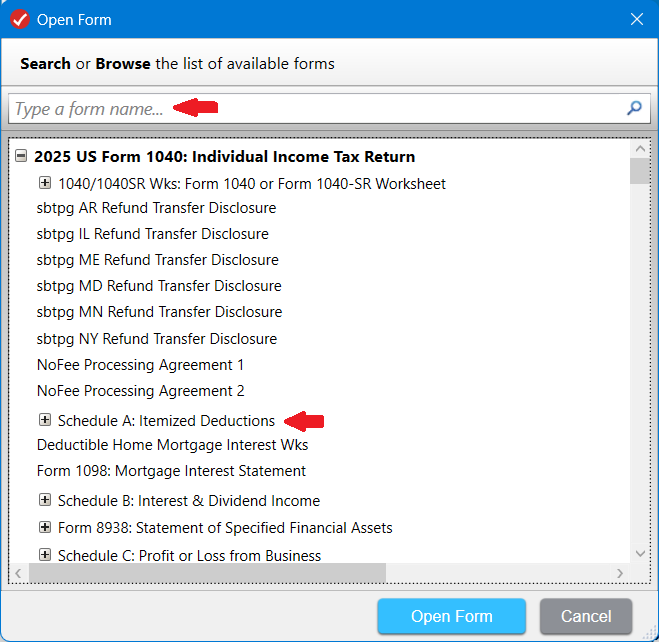Open Form - Schedule A.png