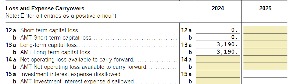 carryover worksheet 2025