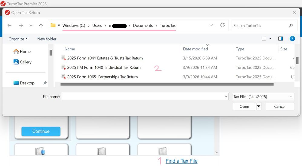 dottaxfiles.jpg