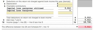 Schedule M-1 Capital Loss carryover.jpg