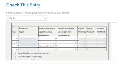 The first time I was prompted to enter the municipality, the information was placed in the bottom row (not in the top row, where I was expecting).